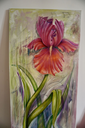 DSC00216.webp