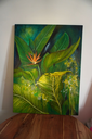 DSC00221.webp