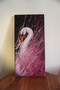 DSC00230.webp