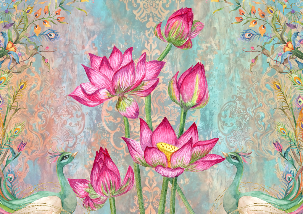 Lotus Fantasy
