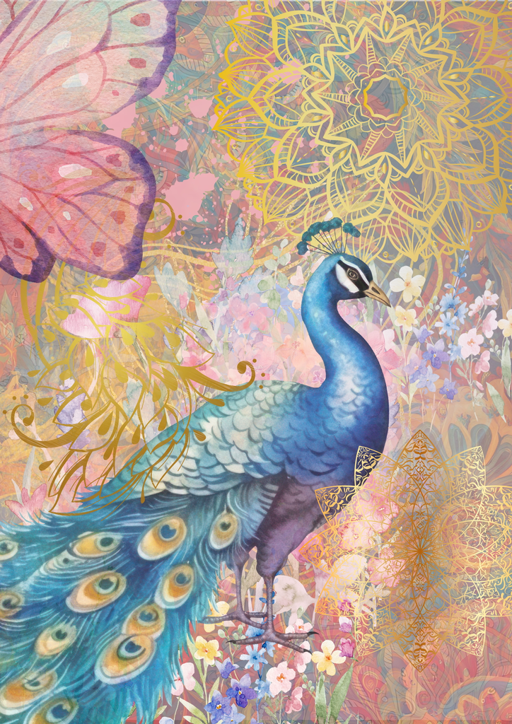 Peacock Romance (A3)