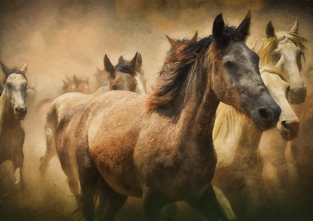 Wild Horses