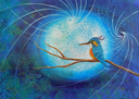 MIRE: Kingfisher